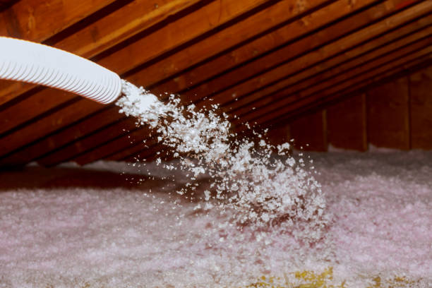 Best Residential Insulation in Sterling, VA