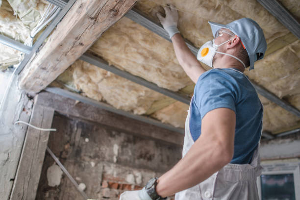Best Blown-in Insulation in Sterling, VA
