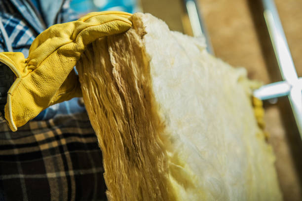 Best Eco-Friendly Insulation in Sterling, VA