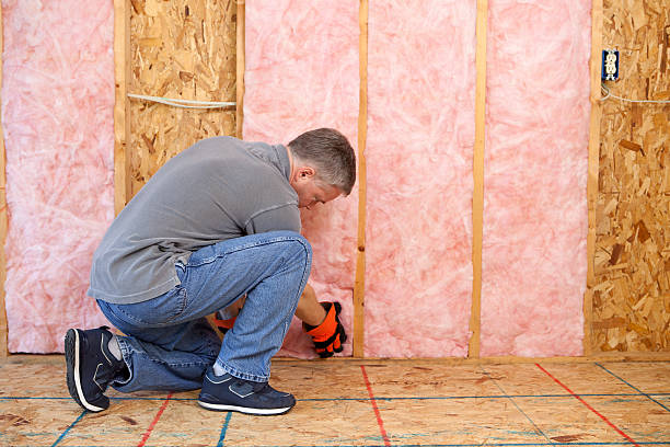 Best Cellulose Insulation in Sterling, VA