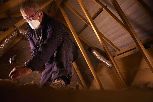 Professional Insulation Contractor in Sterling, VA